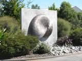 The iconic symbol of Nautilus © P Curtis 2014  (img_0881)
